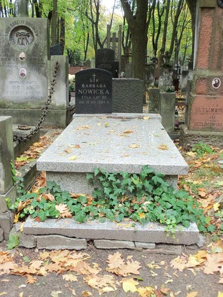 Zdjęcie grobu: Barbara Nowicka