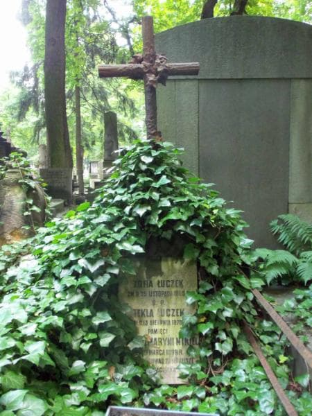 Zdjęcie grobu Marynia Nikiel (2)