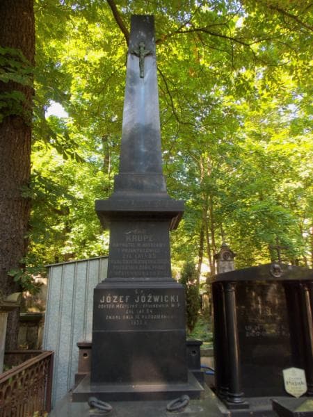 Zdjęcie grobu Józef Jóźwicki (2)