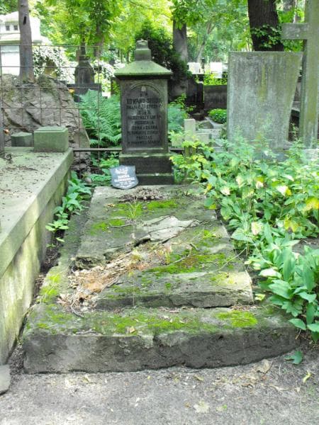 Zdjęcie grobu: Edward Streij