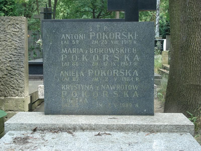 Zdjęcie grobu Aniela Pokorska (1)