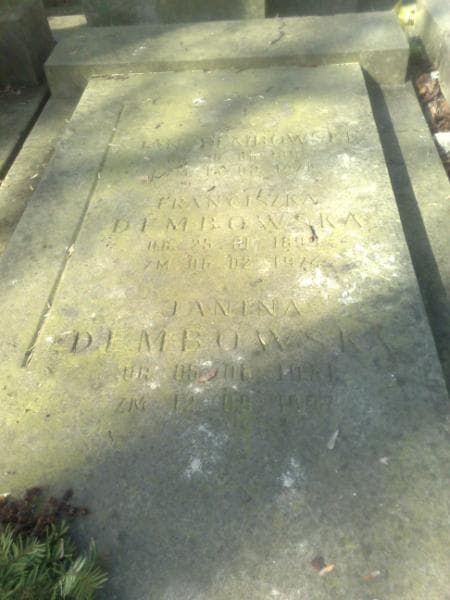 Zdjęcie grobu Jan Dembowski (1)