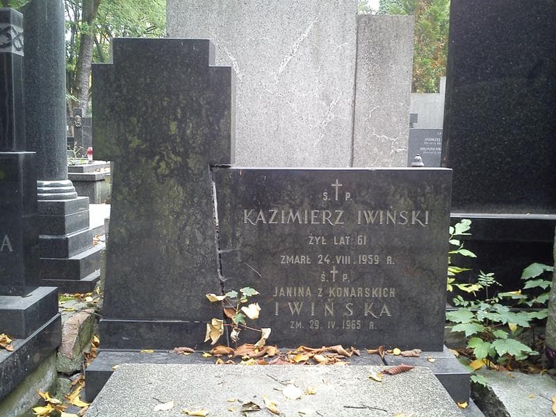 Zdjęcie grobu Kazimierz Iwiński (2)