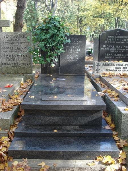 Zdjęcie grobu: Wincenty Białecki