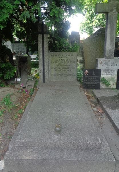 Zdjęcie grobu Tadeusz Nałęcz - Małachowski (1)