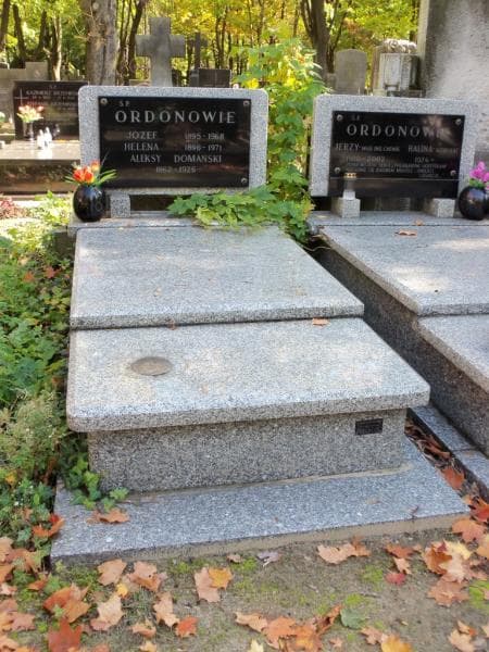 Zdjęcie grobu: Aleksy Domański