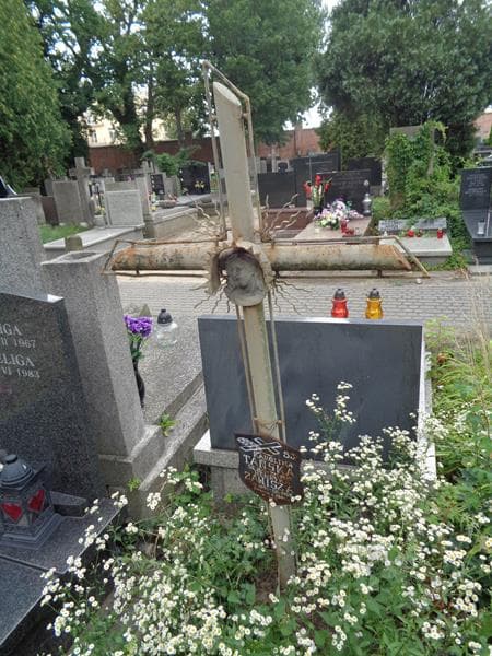 Zdjęcie grobu Karolina Tańska (2)