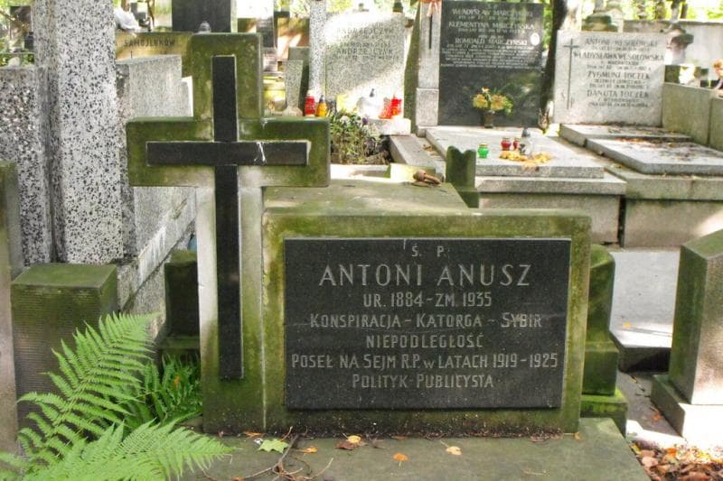 Zdjęcie grobu Franciszek Anusz (2)