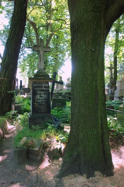 Zdjęcie grobu Jerzy Jan Gudowski (1)