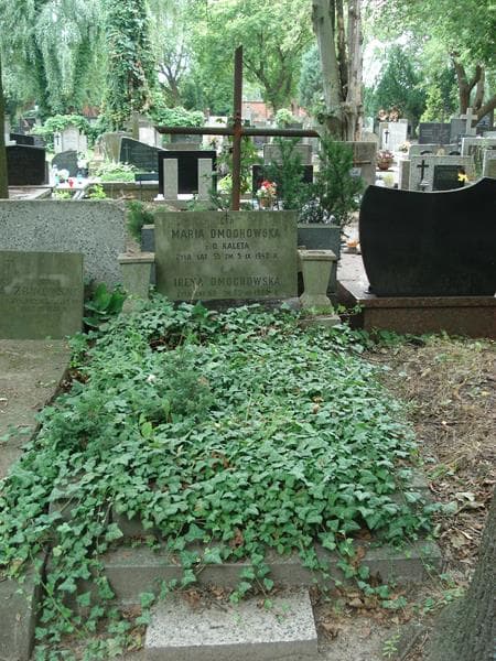 Zdjęcie grobu: Maria Dmochowska