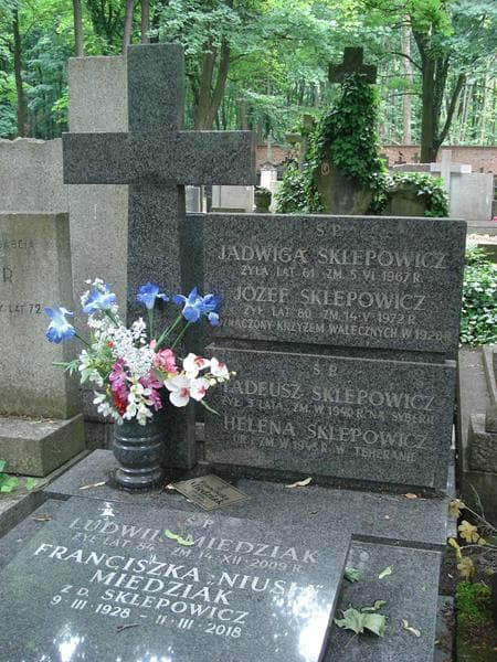 Zdjęcie grobu Ludwik Miedziak (1)