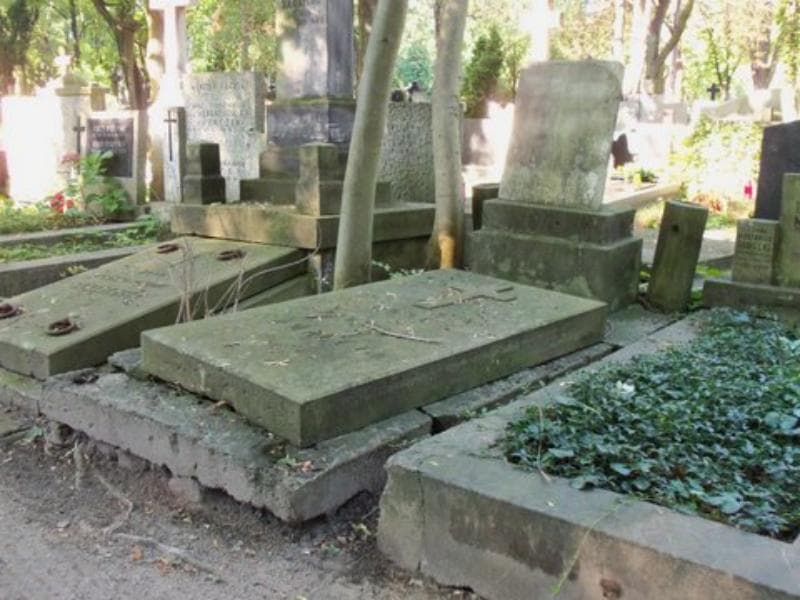 Zdjęcie grobu Teofila Szmalc (1)