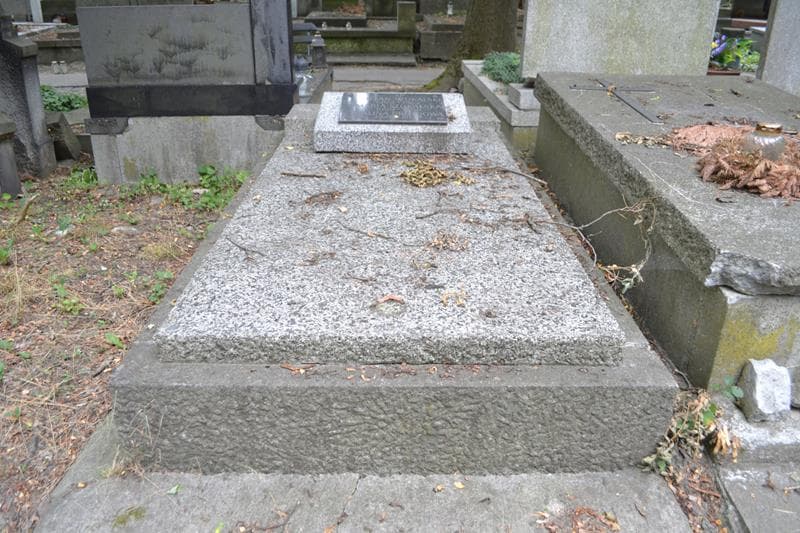 Zdjęcie grobu Halina Drozdowska (1)