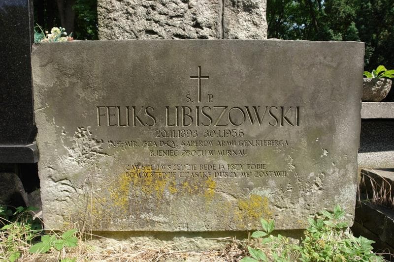Zdjęcie grobu Feliks Libiszowski (2)