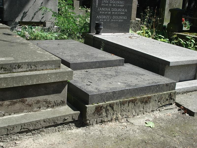 Zdjęcie grobu Stefanja Kochowa Dąmbska (1)