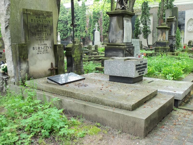 Zdjęcie grobu Stefania Kuczkowska-Leoniewska (1)