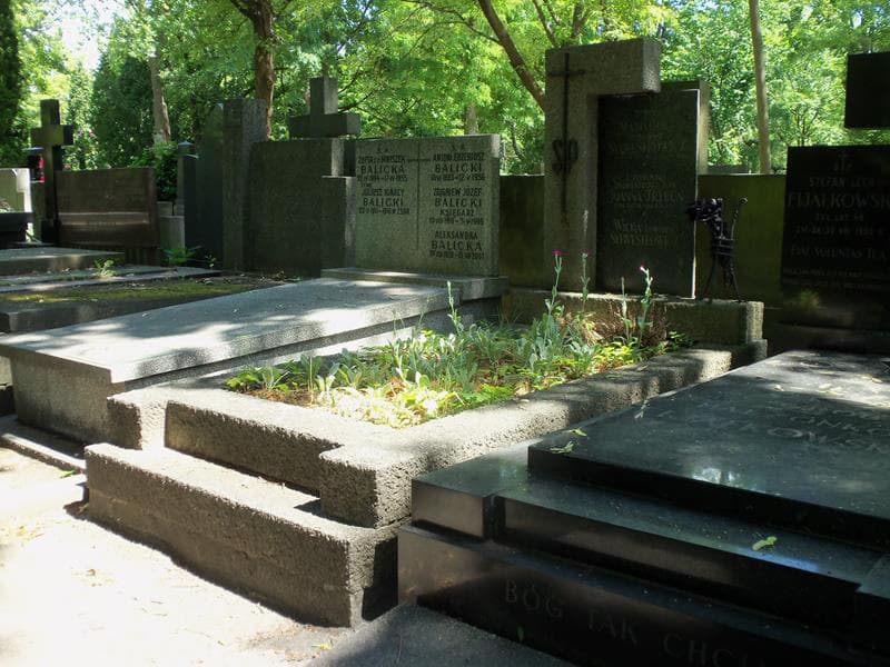Zdjęcie grobu Kazimierz Dowoyno Sylwestrowicz (1)