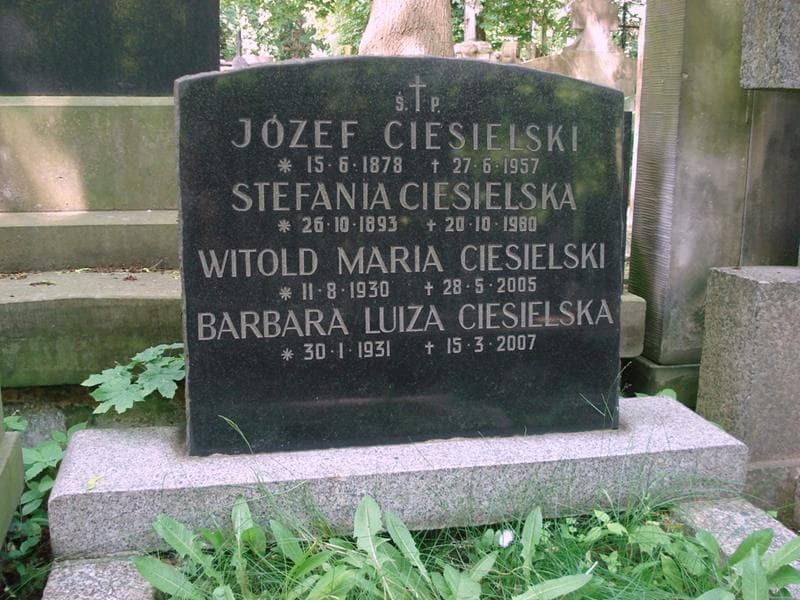 Zdjęcie grobu Józef Ciesielski (2)