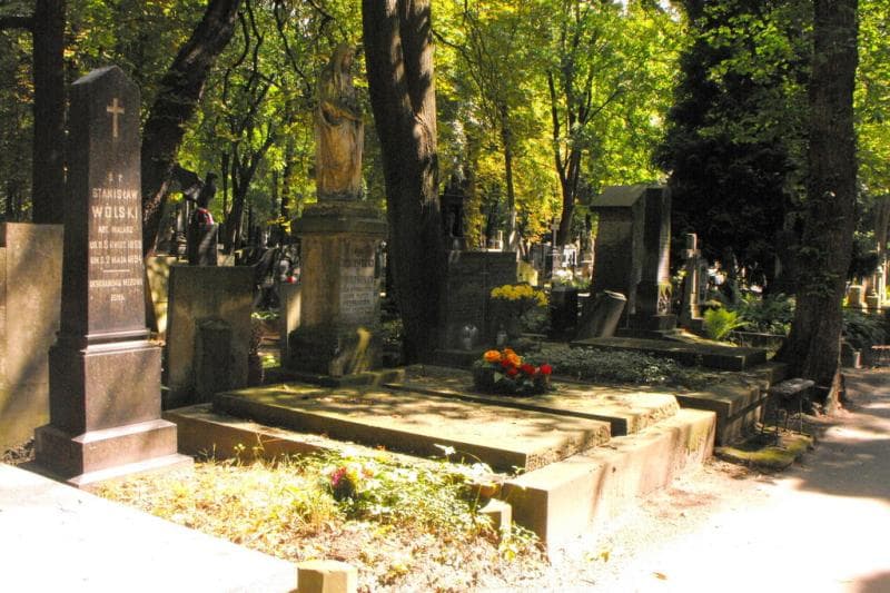 Zdjęcie grobu Apolonia Cieszewska (1)