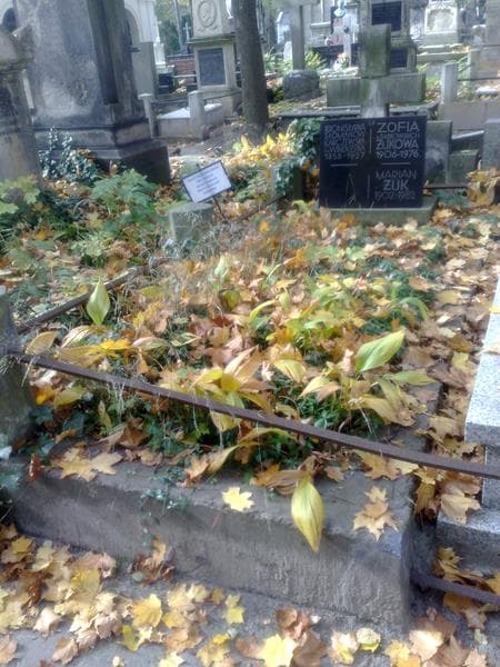 Zdjęcie grobu Zofia Żukowa (2)