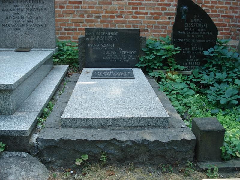 Zdjęcie grobu: Henryk Szemiot