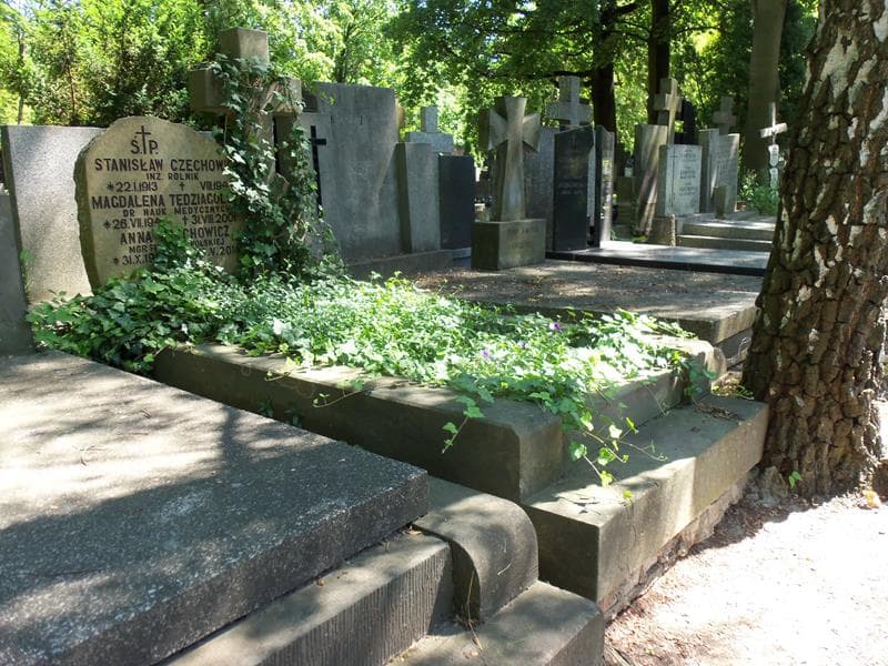 Zdjęcie grobu Anna Czechowicz (1)