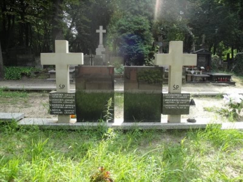 Zdjęcie grobu Stanisława Janikowicz (1)