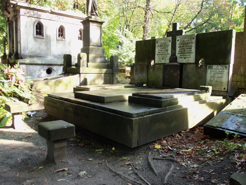 Zdjęcie grobu Irena Ambroziewicz (1)