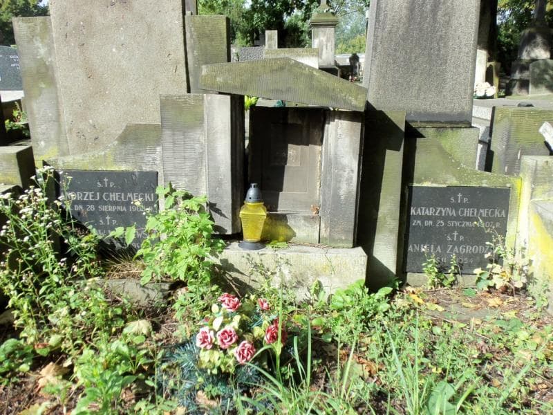 Zdjęcie grobu Stanisław Wasilewski (2)