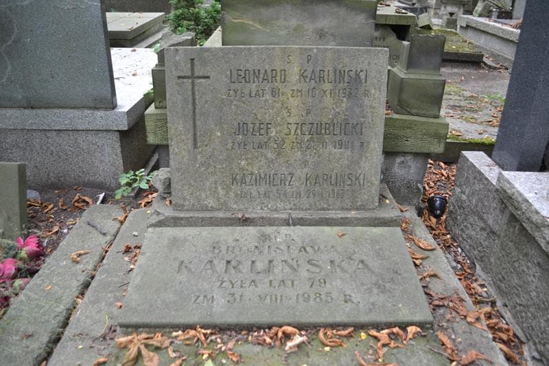 Zdjęcie grobu Józef Szczublicki (2)