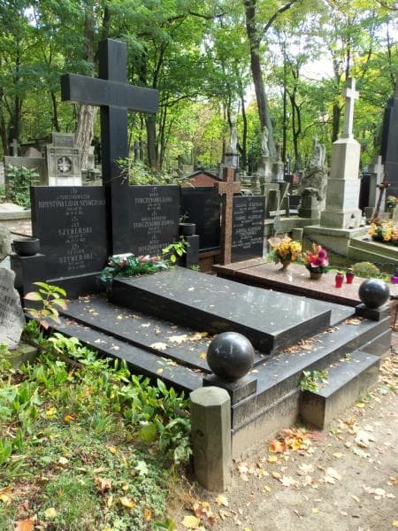 Zdjęcie grobu Witold Koczorowski (1)