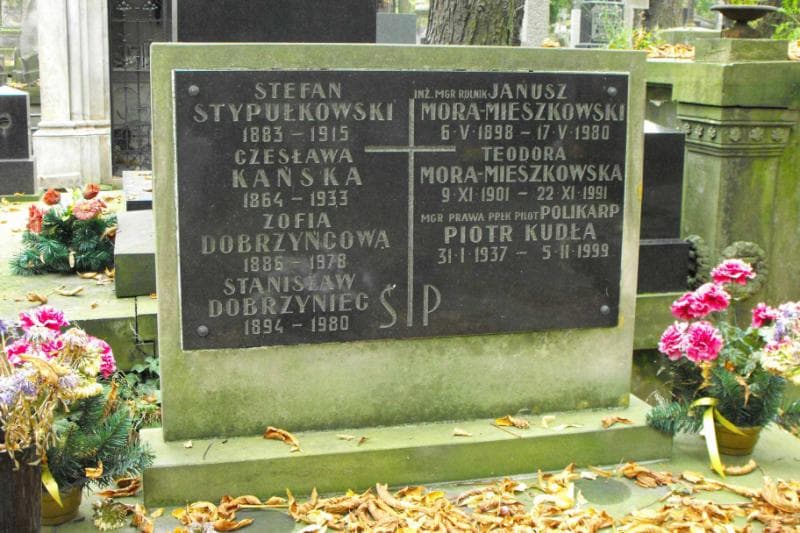 Zdjęcie grobu Stefan Stypułkowski (2)