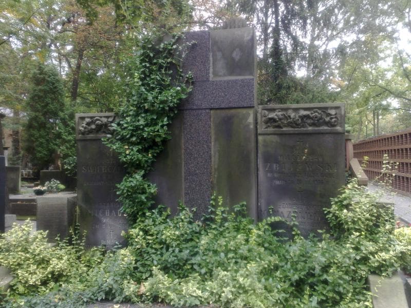 Zdjęcie grobu Stanisław Michalski (1)