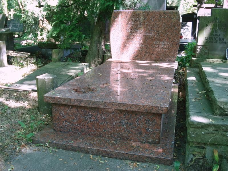Zdjęcie grobu Michalina Niedziółka (1)