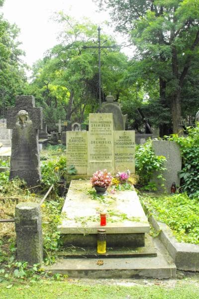 Zdjęcie grobu: Henryk Dramiński