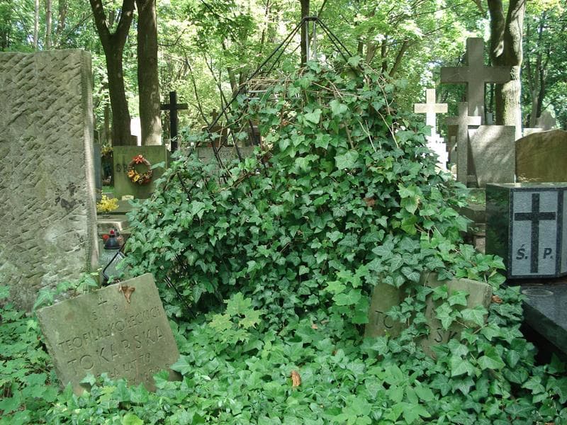 Zdjęcie grobu Teofila Tokarska (2)