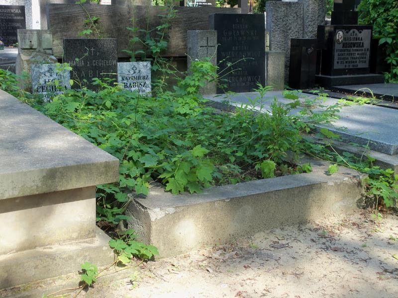 Zdjęcie grobu Kazimierz Babisz (1)