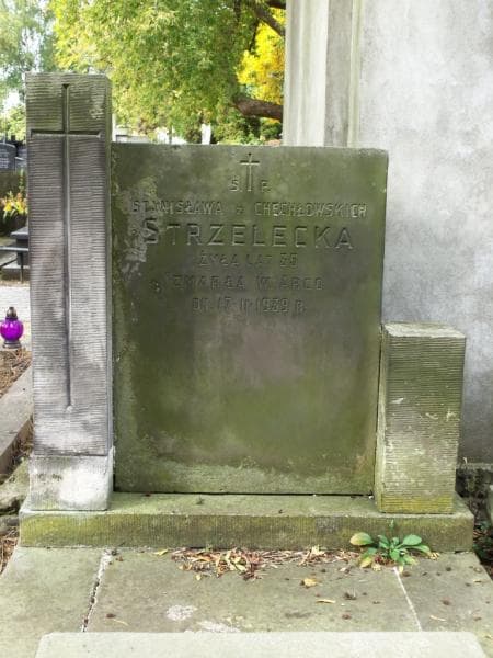 Zdjęcie grobu Stanisława Strzelecka (2)