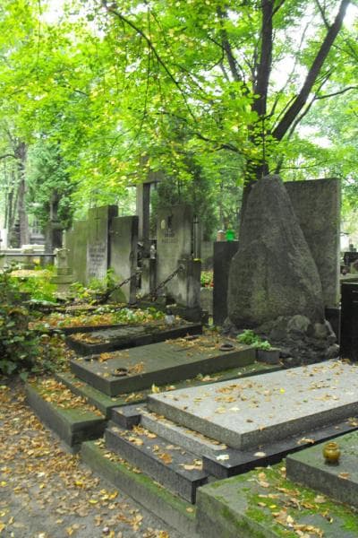 Zdjęcie grobu Zofia Nałęcz-Tańska (1)