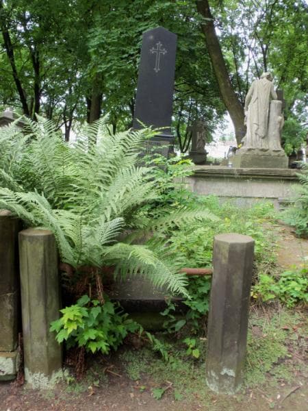 Zdjęcie grobu: Wilhelmina Januszewska
