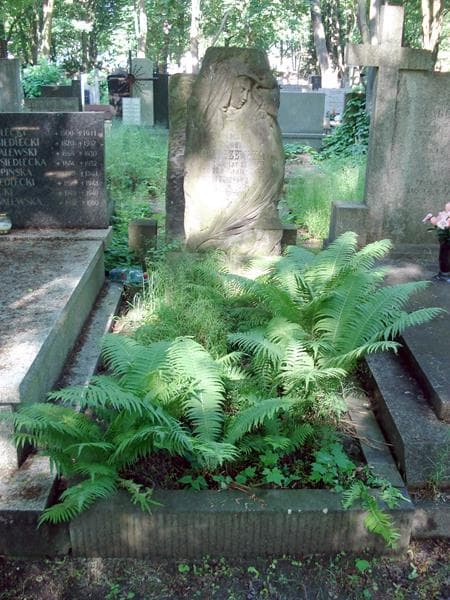 Zdjęcie grobu: Stanisława Tomaszewska