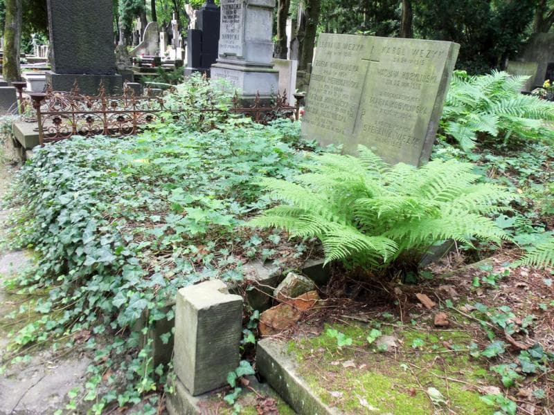 Zdjęcie grobu Eugenia Pietruszyńska (1)