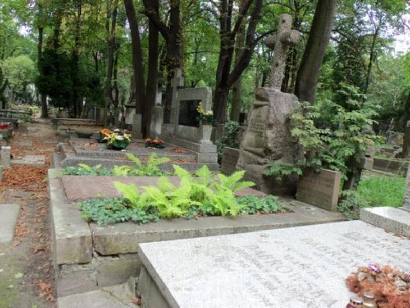 Zdjęcie grobu Aniela Malarska (1)