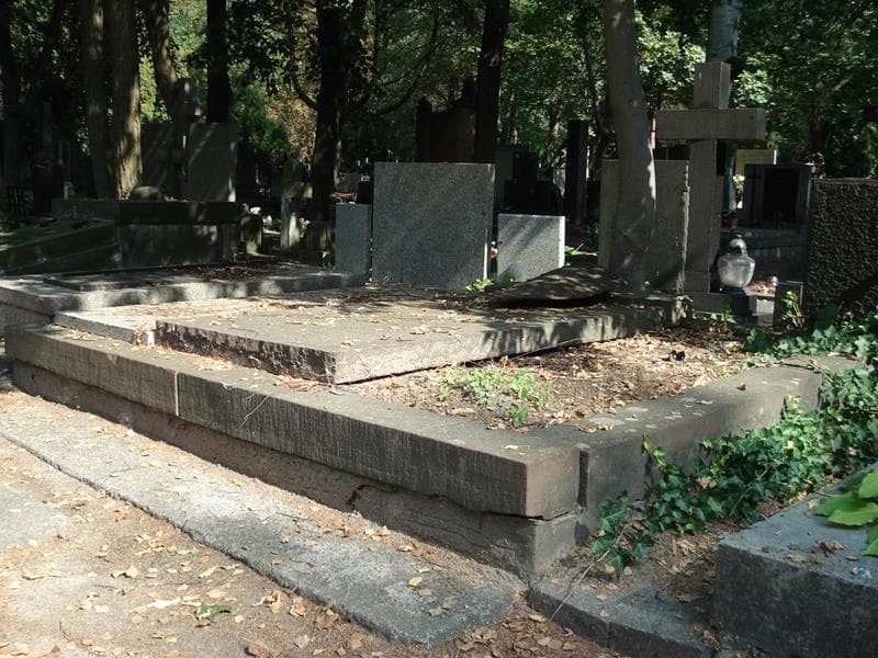 Zdjęcie grobu Tadeusz Wrześniewski (2)