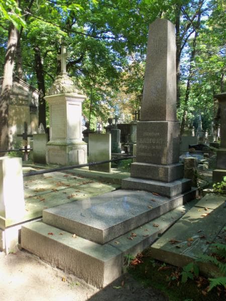 Zdjęcie grobu Bronisław Hasfort (1)