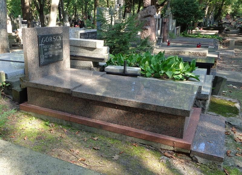 Zdjęcie grobu: Ewa Górska