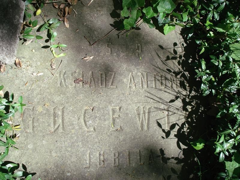 Zdjęcie grobu Antonina Gucewicz (2)