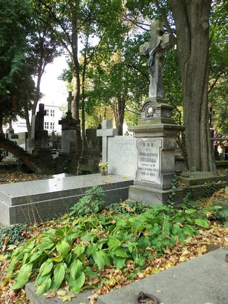 Zdjęcie grobu Józefa Dolińska (1)