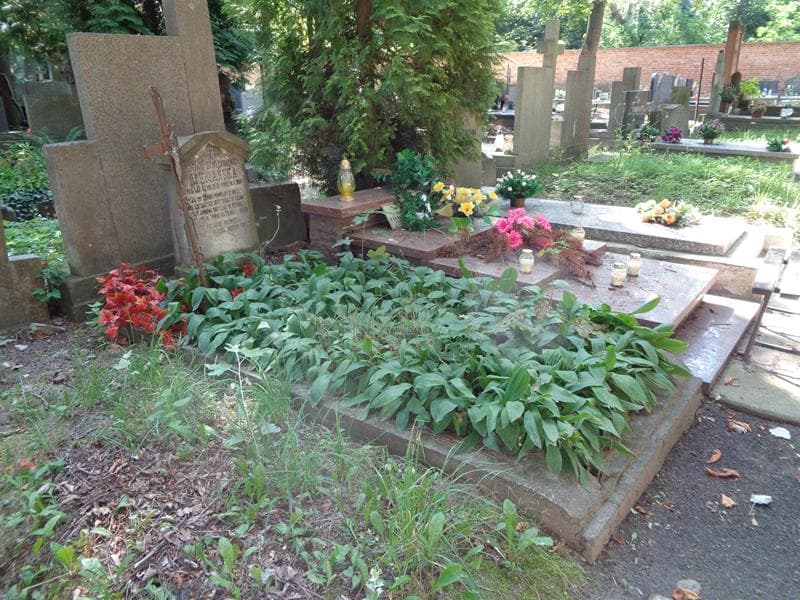Zdjęcie grobu: Józefa Ochmańska