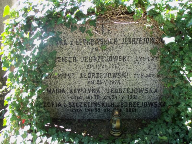 Zdjęcie grobu Zygmunt Jędrzejowski (1)
